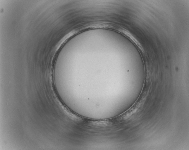 X0000074330853200609152055