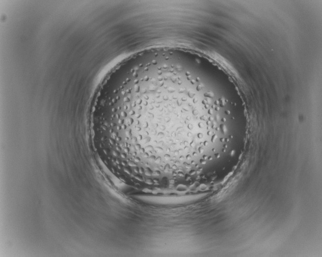 X0000074330854200609152055