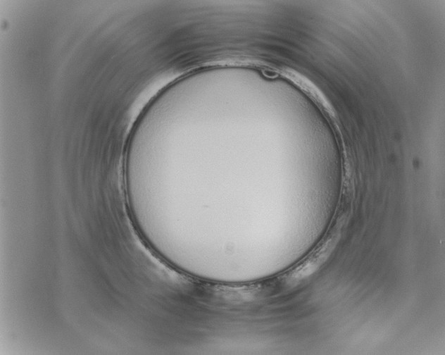 X0000074330855200609152055