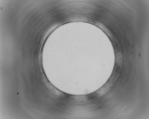 X0000074330856200609152055