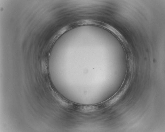 X0000074330857200609152055