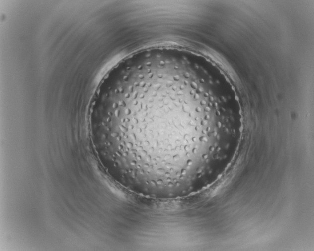 X0000074330858200609152055