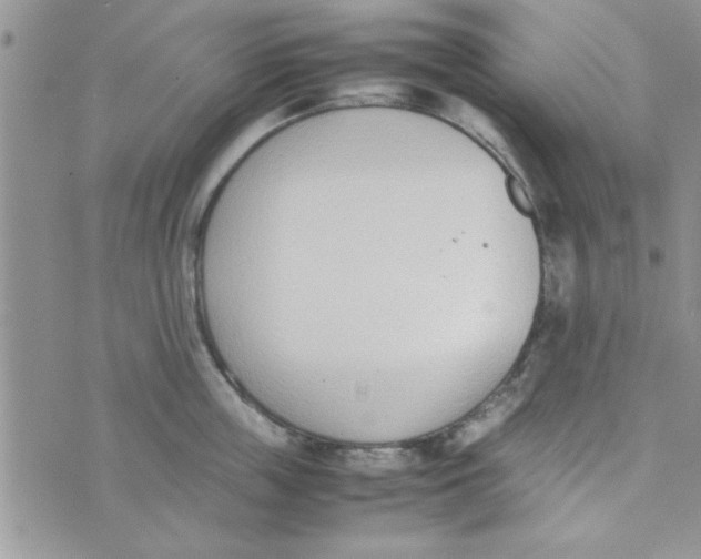 X0000074330859200609152055