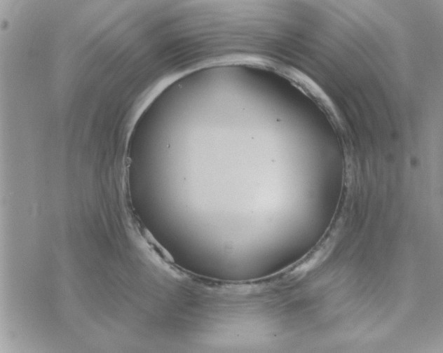 X0000074330860200609152055