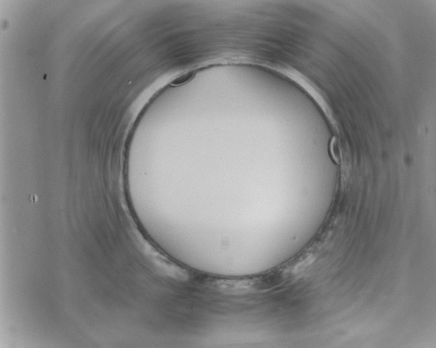 X0000074330861200609152055