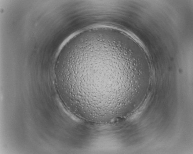 X0000074330862200609152055