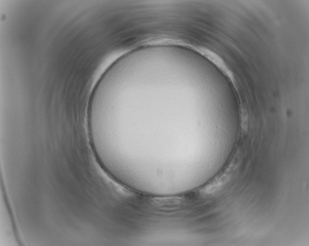 X0000074330863200609152055