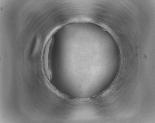 X0000074330864200609152055