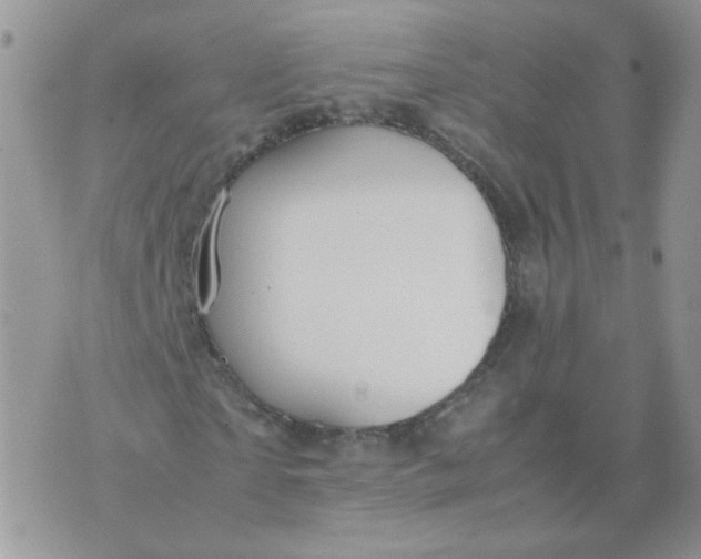 X0000074330865200609152054