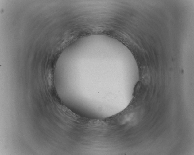 X0000074330866200609152054