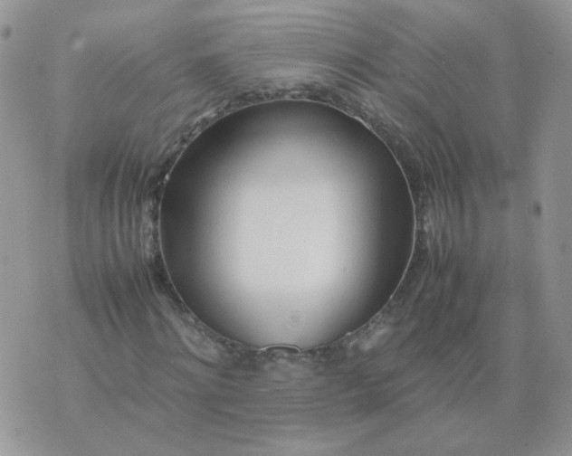 X0000074330868200609152054