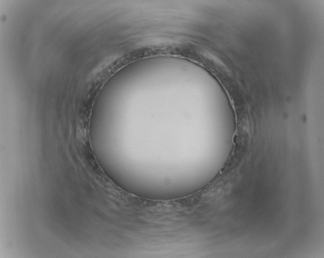 X0000074330869200609152054