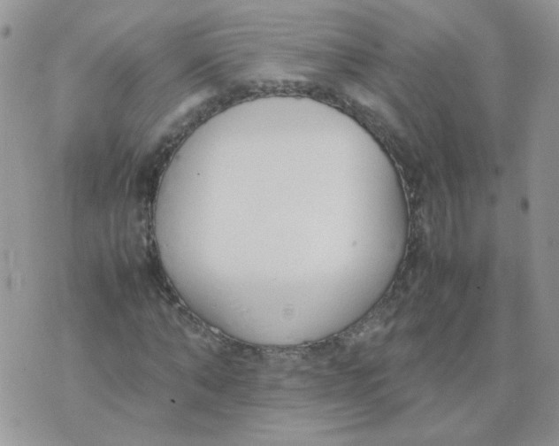 X0000074330870200609152054