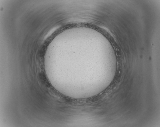 X0000074330871200609152054