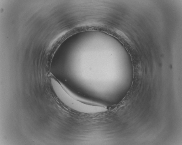 X0000074330872200609152054