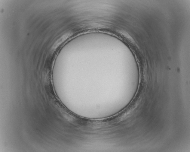 X0000074330873200609152054