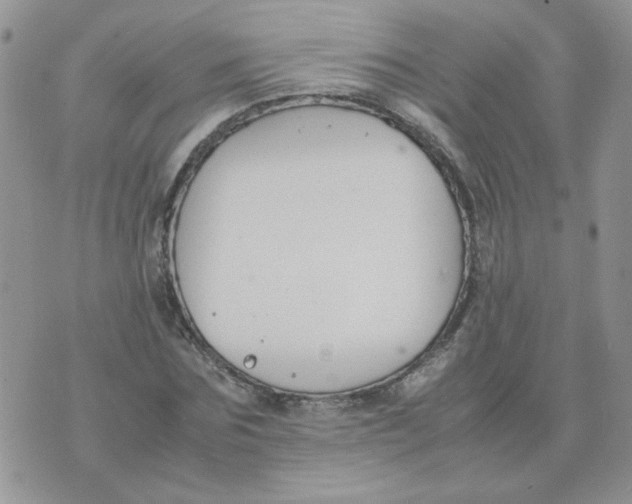 X0000074330875200609152054