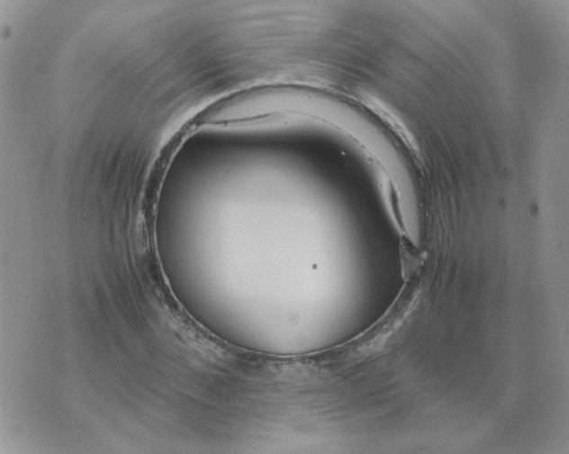 X0000074330876200609152054