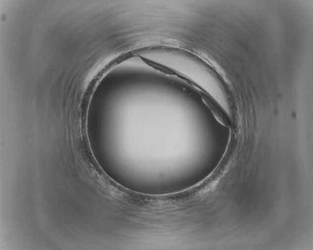 X0000074330877200609152054