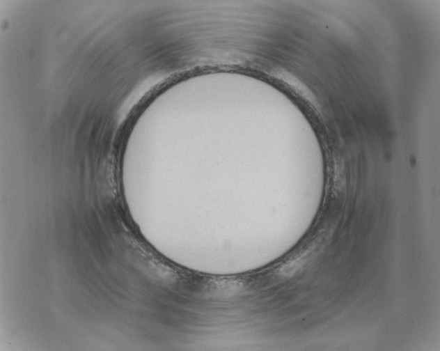 X0000074330878200609152054