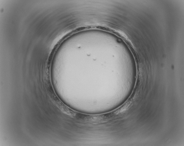 X0000074330879200609152054