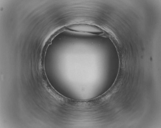 X0000074330880200609152054