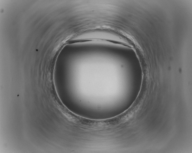 X0000074330881200609152054