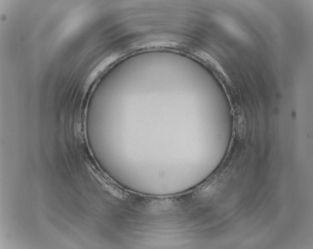 X0000074330882200609152054