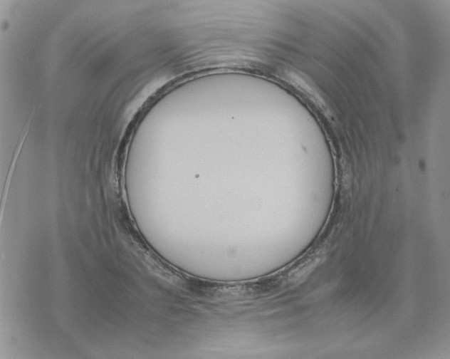 X0000074330883200609152054