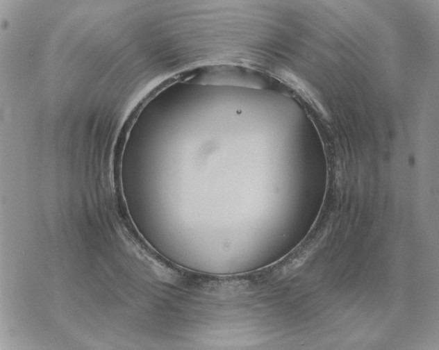 X0000074330884200609152054