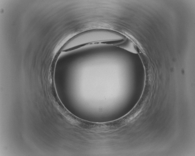 X0000074330885200609152054