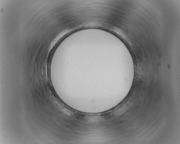 X0000074330886200609152054