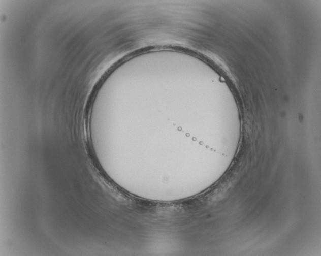 X0000074330887200609152054