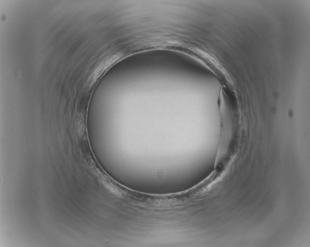 X0000074330889200609152054