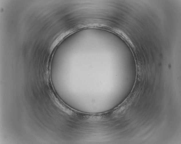 X0000074330890200609152054