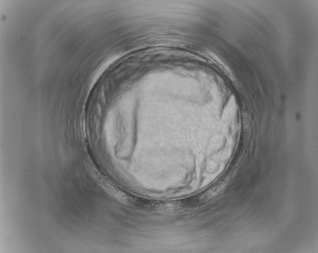 X0000074330891200609152054