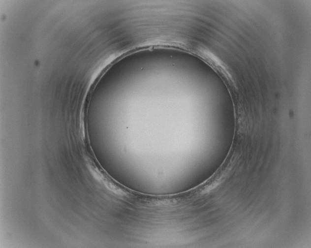 X0000074330892200609152054