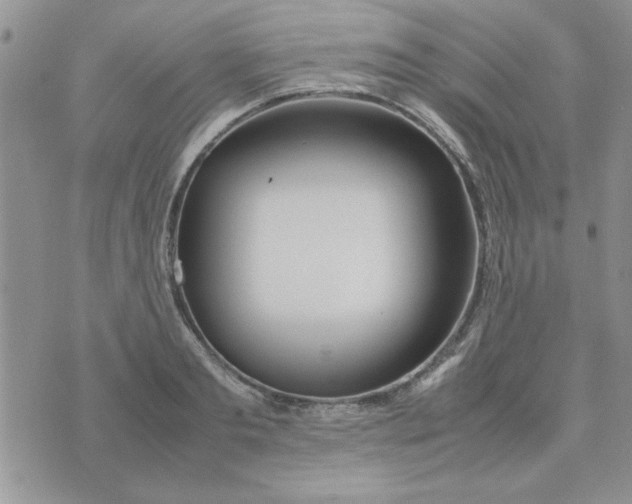 X0000074330893200609152054