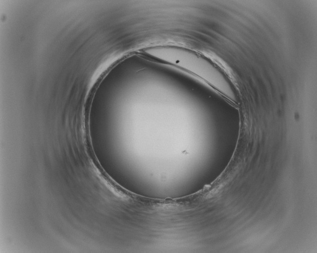 X0000074330894200609152054