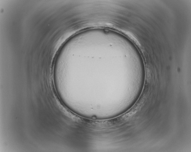 X0000074330895200609152054