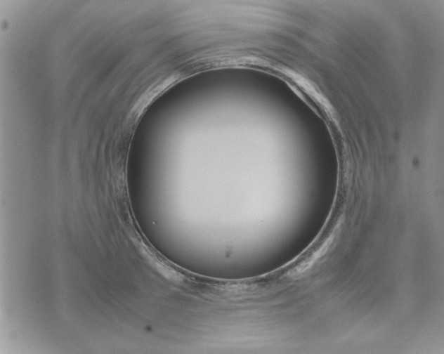 X0000074330897200609152054