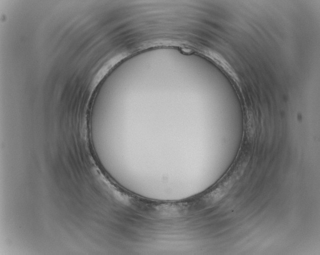 X0000074330898200609152054