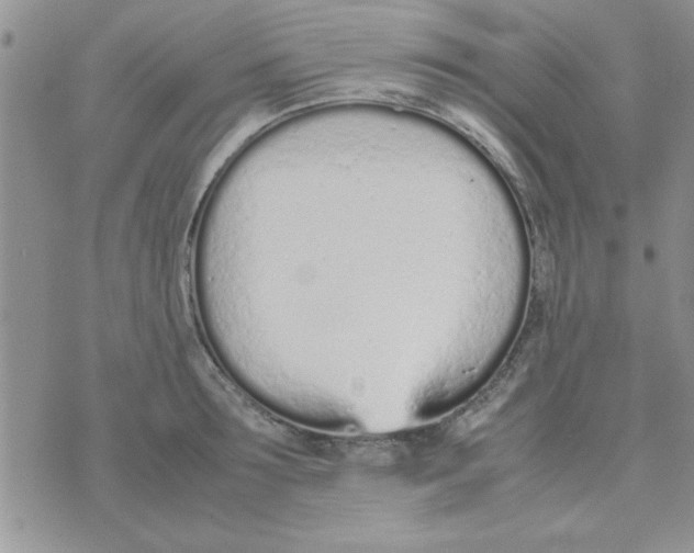 X0000074330899200609152054