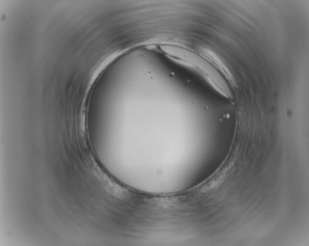 X0000074330900200609152054