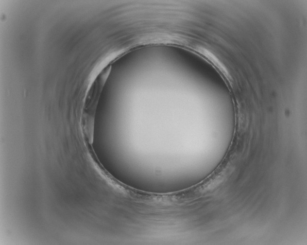 X0000074330901200609152054