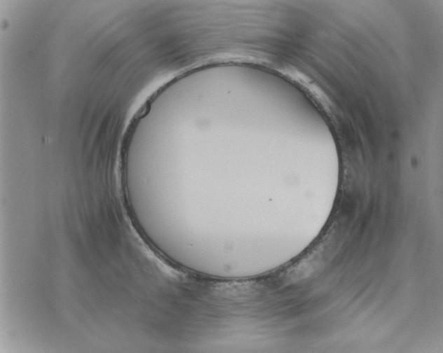 X0000074330902200609152054