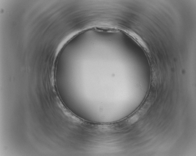 X0000074330904200609152054