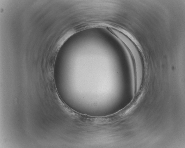 X0000074330905200609152054