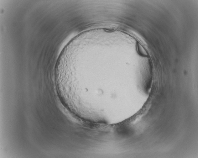 X0000074330907200609152054