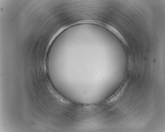 X0000074330908200609152054